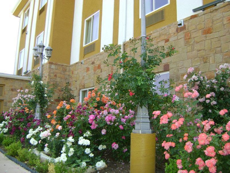 Blanco River Hotel Luaran gambar